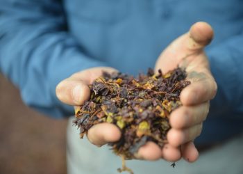 La eliminación de retenciones a derivados vínicos generará 400 millones de pesos para la vitivinicultura