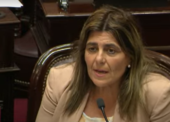 Ficha Limpia: Mariana Juri defendió el proyecto, pero dijo que no es la “solución a todos los problemas”