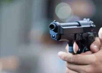 ¿Cómo funciona el trámite exprés para la tenencia de armas en Argentina?