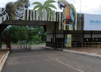 Brasilia cierra el zoológico y despliega una barrera sanitaria preventiva ante la gripe aviar