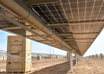 El gobierno habilitó al parque fotovoltaico El Quemado a ingresar al Mercado Eléctrico Mayorista