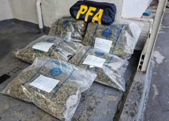 Desarticularon una organización narcocriminal en Mar del Plata: el líder está preso en la cárcel de Batán