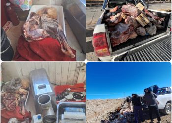 La Policía Rural desbarató una cadena de comercios que vendían carne en mal estado en Malargüe