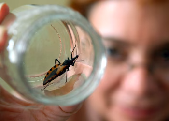 ¿Se curó la infección de Chagas? Un nuevo test podría dar la respuesta