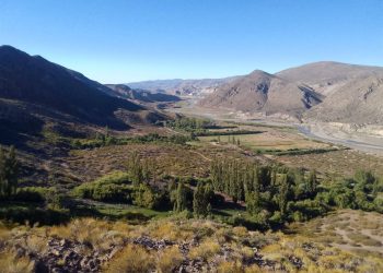 Donde solo llegan ondas de radio y caballos: el secano del sur mendocino y un homenaje en pantalla grande