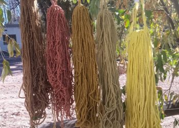 Telar Campesino: nuevos colores del monte siguen inspirando tejidos con identidad surmendocina