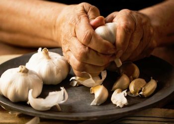 Seminario con información importante sobre el cultivo de ajo
