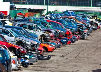 La medida de Javier Milei que impactó en los desarmaderos de autos en Mendoza