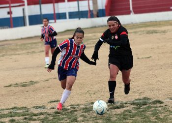 Fórmula: Colapinto terminó 15º en el Gran Premio de Austria