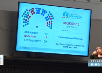 Es ley: el Senado habilitó a los preventores a utilizar pistolas taser