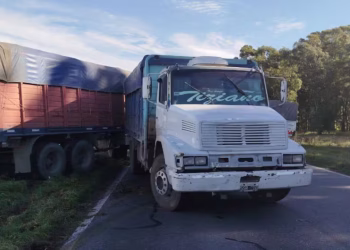 El calvario que vivió el camionero que atropelló a Fernando Dellarciprete, el hombre que asesinó a toda su familia en Tres Arroyos