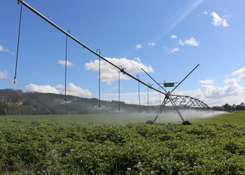 Realizarán una jornada a campo sobre riego por pivote en la zona de Real del Padre