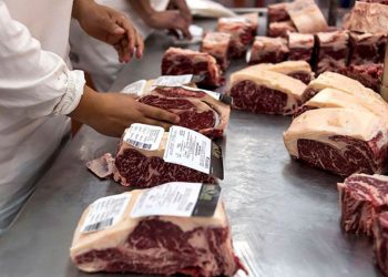 Exportación de carne: “Cuota Hilton”y desafíos de competitividad en un mercado global cada vez más exigente