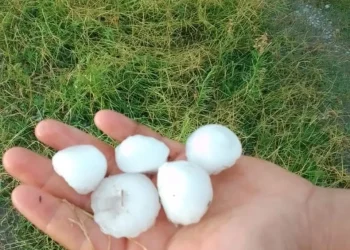 Decretaron el desastre y la emergencia agropecuaria en varias zonas de la provincia