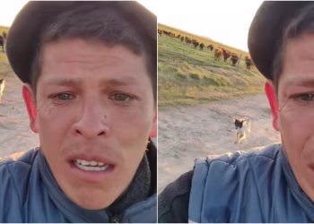 Lo echaron después de 11 años de trabajo como peón rural y el único que lo despidió fue su perro