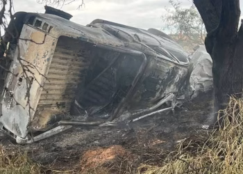 Otra tragedia sobre una ruta del país: un hombre y una nena de 9 años murieron en un choque