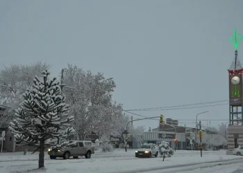 Una localidad de Mendoza se ubicó entre las más frías del país