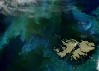 El Gobierno evitó que el reclamo por las Islas Malvinas se caiga en la ONU gracias al apoyo de China y Venezuela