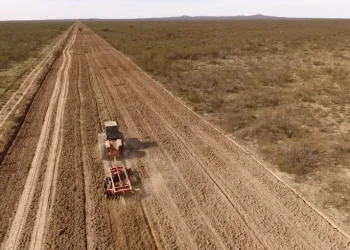 Se promulgó la ley que habilita el uso de tierras fiscales para fines productivos