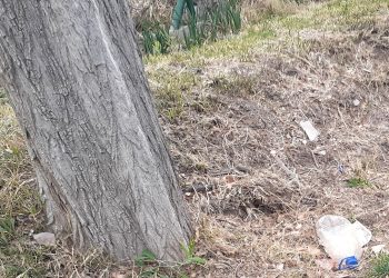 El ser humano está perdiendo la batalla contra el plástico