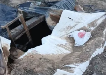 Horror en Santiago del Estero: un nene de 2 años desapareció en el patio de su casa y lo encontraron muerto