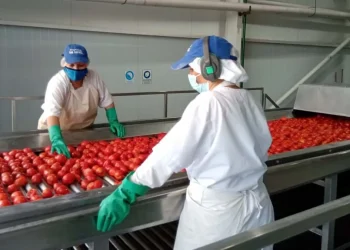 En el sur mendocino los varones ganan en promedio un 29% más que las mujeres