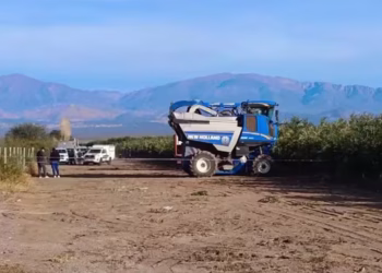 Tragedia en San Juan: Un operario murió tras ser atropellado por una cosechadora que manejaba su compañero de trabajo