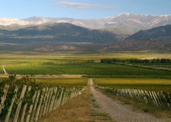 Denuncian irregularidades en Irrigación por autorización de pozos en zona restringida: piden Jury para el Superintendente Marinelli