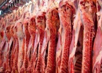 Tras el anuncio oficial, cómo quedan las retenciones a la carne, maíz, girasol y soja