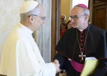 León XIV nombró un nuevo presidente de la Comisión Pontificia para la Protección de Menores