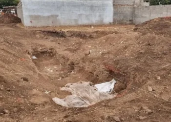 Córdoba: encontraron una fosa con más de 20 cadáveres en un terreno del ex centro clandestino Campo de la Ribera