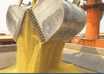 La harina de soja argentina enfrenta su precio más bajo en 15 años