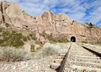 Privatización del Belgrano Cargas: ¿Y las vías que pasan por San Rafael?