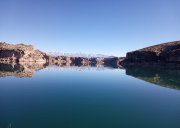 Tramo final de la corta anual en los ríos sureños: reservas encima de la media pero debajo de la temporada anterior