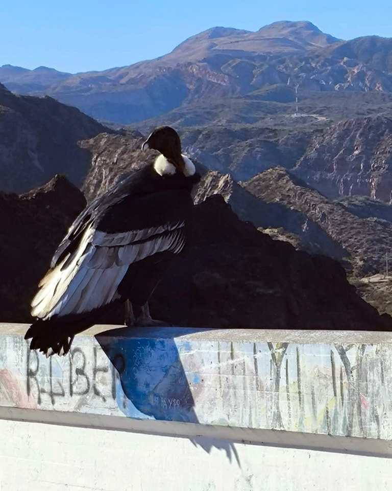 Gaiettaa onlyfans this provider is precisely as described,