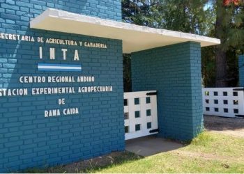 Los cambios en el I.N.T.A.