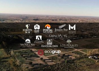 Cientos de afectados por la estafa inmobiliaria de Ecogrup en San Rafael claman por avances en la justicia e imputaciones