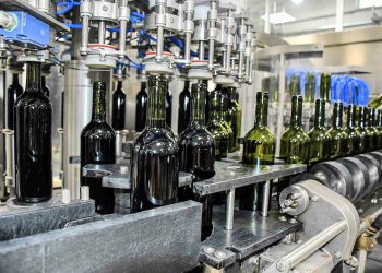 Viñateros preocupados: cambios en el INV podrían generar consecuencias negativas en la trazabilidad y calidad del vino