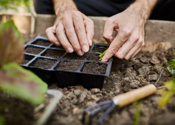Invitan a participar de talleres de huerta y cocina para emprendedores
