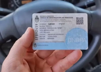Eliminaron la cédula azul: cómo es el nuevo registro de conductores para manejar autos a nombre de empresas