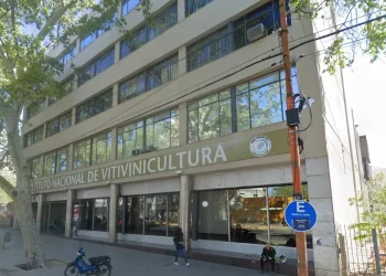 El INV fue alcanzado por la motosierra de Javier Milei, con críticas por su “excesiva” fiscalización