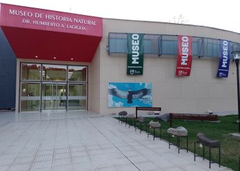 Vacaciones de invierno: los Museos locales son un lugar especial para visitar