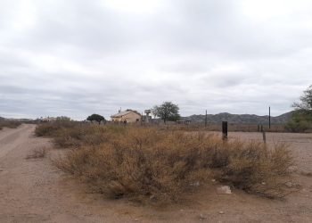 Paraje Los Terneros, olvidado a su suerte