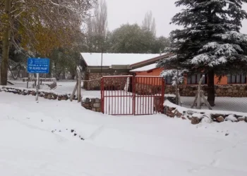 Ola polar: Cuáles son las escuelas más afectadas y los principales problemas para volver a clases