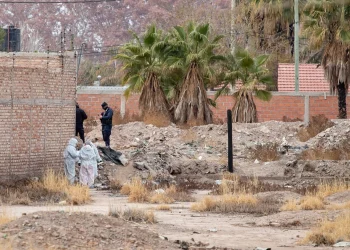 “Esto se paga sangre por sangre, madre por madre”: el tiroteo después del brutal femicidio en Las Heras