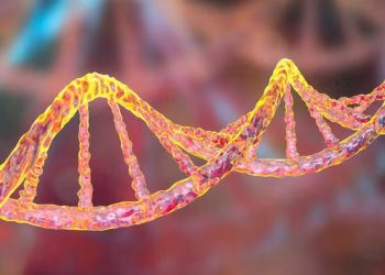 Advierten por un gen que crea superbacterias resistentes a antibióticos que se propaga silenciosamente por tierra, aire y mar