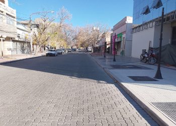 “Árboles del Microcentro de San Rafael”