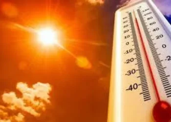 Alertan por una ola de calor en pleno invierno: las temperaturas podrían llegar a 35°C en algunas provincias