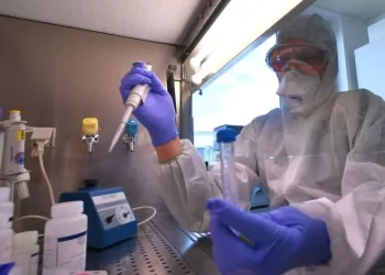 El Covid «Frankenstein» se detectó cerca de Argentina: dónde circula y de qué se trata