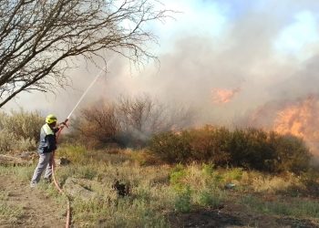 Temporada alta de incendios forestales: máxima precaución y trabajo coordinado